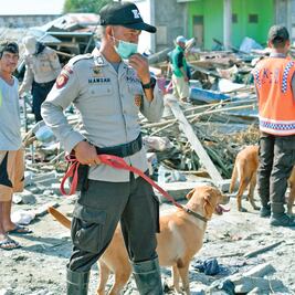 Indonesia: temen que cifra de muertos supere los 2 mil
