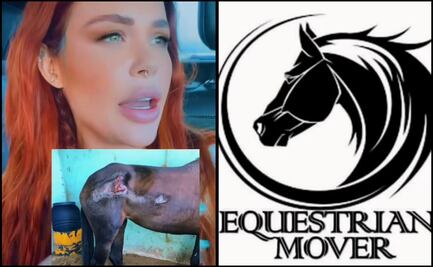 Tras denuncias por maltrato, autoridades aseguran 17 caballos en malas condiciones en Veracruz