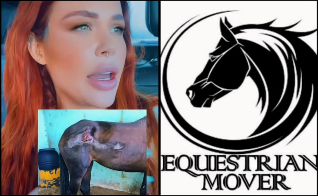 Foto: captura de pantalla