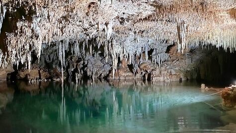 Pilotes del Tren Maya afectan dos cavernas