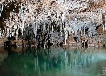 Pilotes del Tren Maya afectan dos cavernas