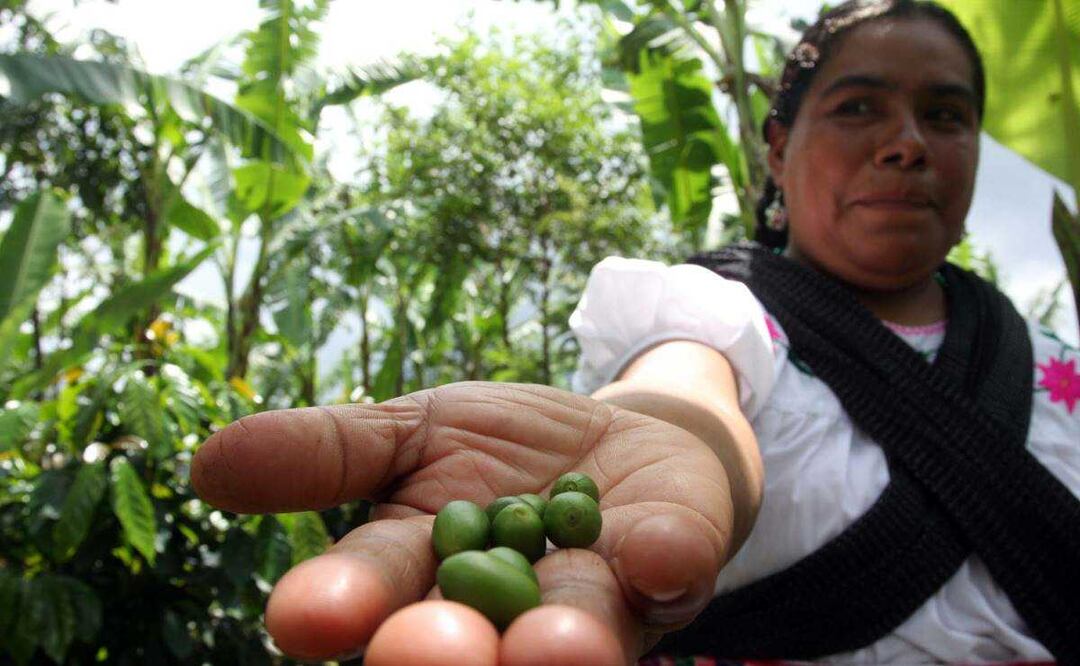 ¿Qué fabrica México? Fotografía: Archivo/EL UNIVERSAL