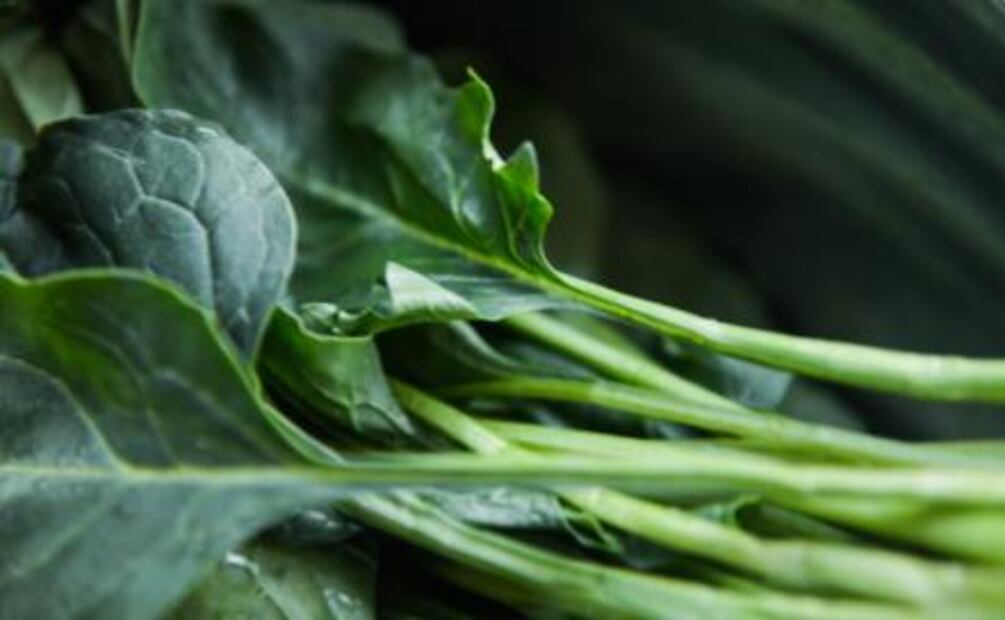 ¿Qué comer si tienes osteoporosis?