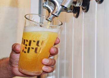 Día Internacional de la Cerveza: celébralo con un tour de catas en CDMX