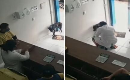 Lomito conmueve en la red tras pedir ayuda en una veterinaria luego de sufrir un accidente