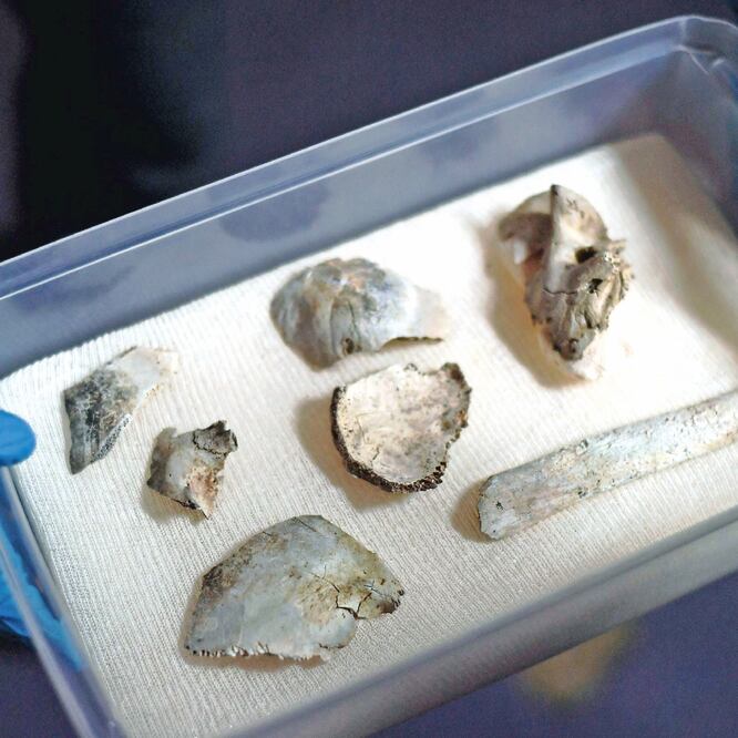 Además del cráneo de Luzia, también se encontró un pedazo de fémur. CARL DE SOUZA. AFP