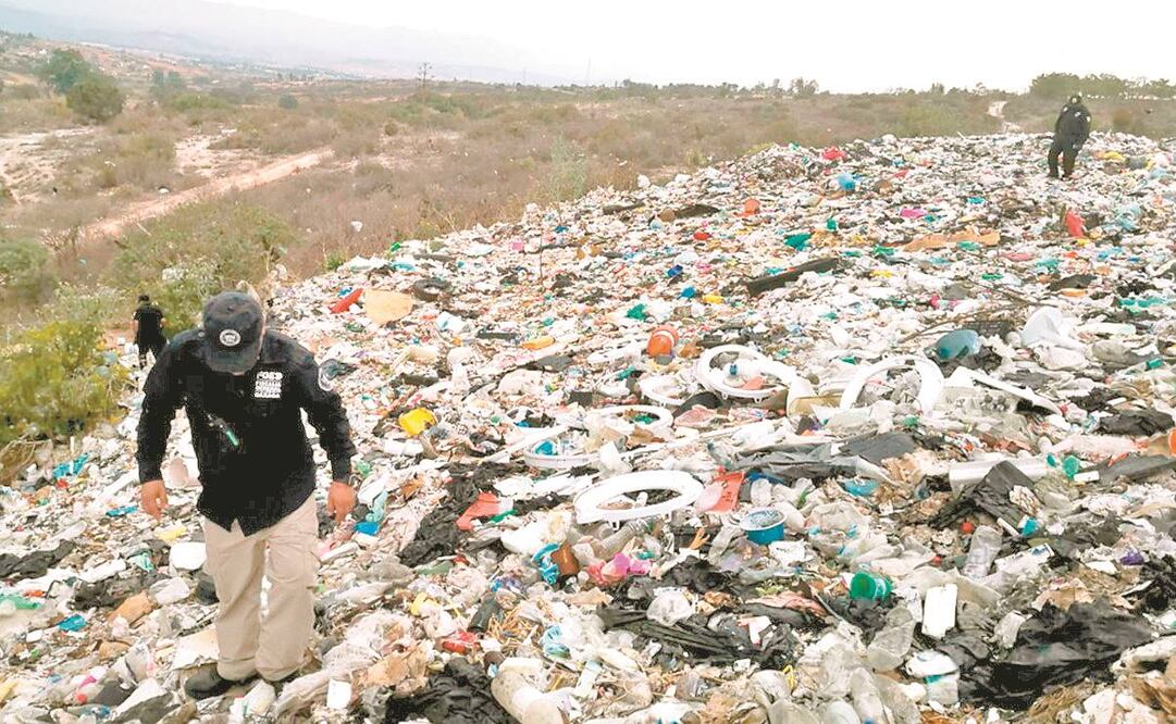 La primera etapa de búsqueda de la activista se realizó en 36 hectáreas de un basurero. Foto: Cortesía.