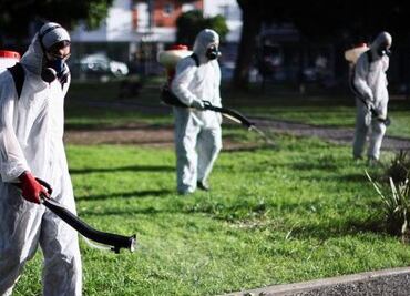 Argentina atraviesa el peor brote de dengue de su historia con grave escasez de repelentes