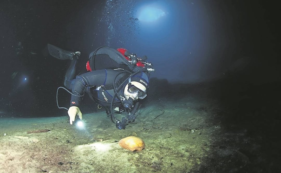 Fotos: Michel Westmoreland