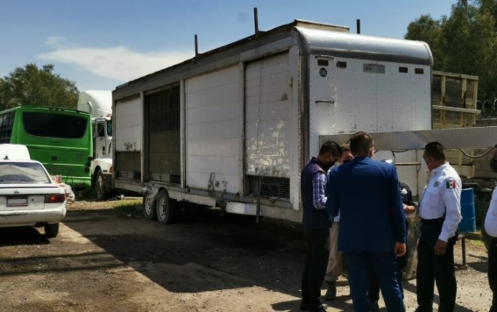 Liberan a leona enjaulada en taller mecánico de Santa María Chiconautla