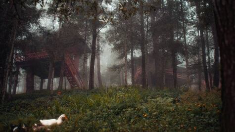 Cabañas en los árboles y burbujas para disfrutar del frío en pareja