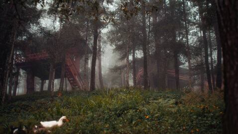 Cabañas en los árboles y burbujas para disfrutar del frío en pareja