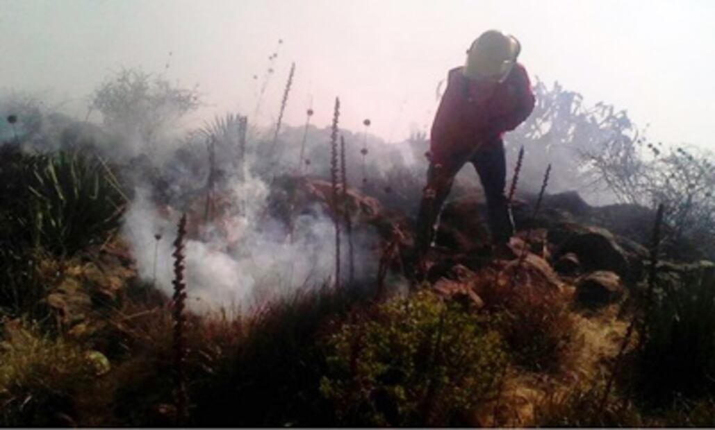 Altas temperaturas en Hidalgo generan al menos 8 incendios forestales