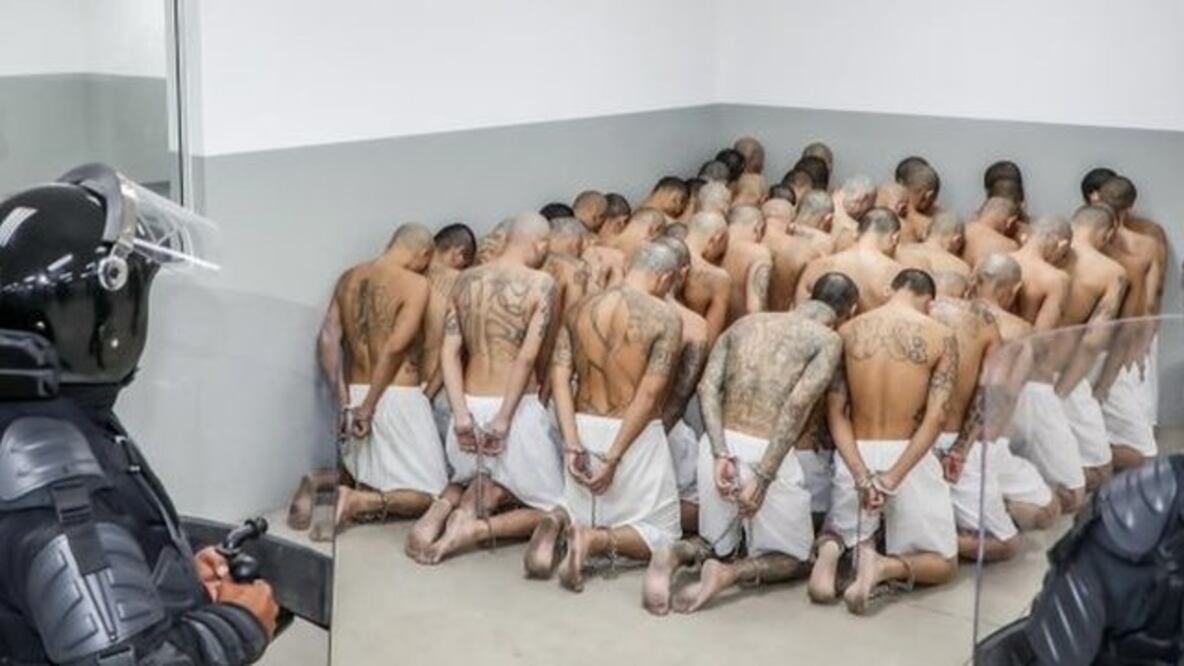 Los periodistas que publicaron sobre la tregua “van a tener que responder por esas actuaciones en las cuales hicieron mucha apología del delito, dijo Mauricio Arriaza Chicas, director general de la Policía Nacional Civil de El Salvador