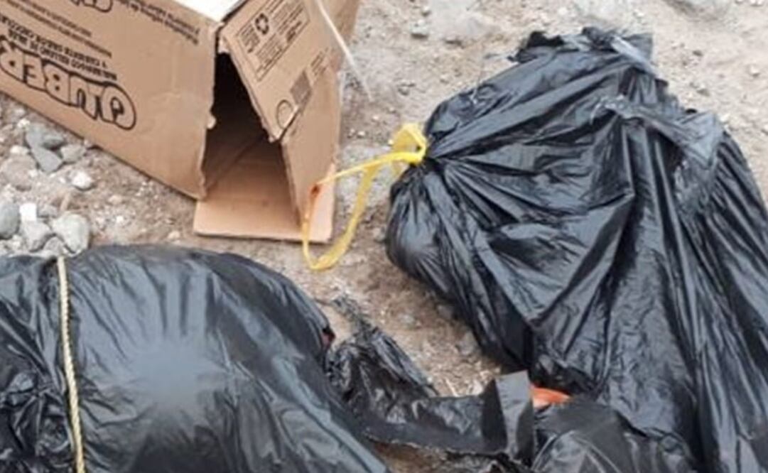 Fotografía: Especiales