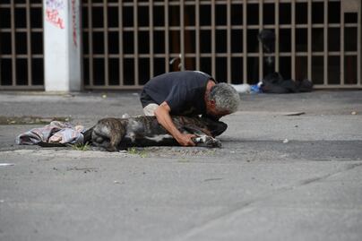 “¡No se vale, no es justo!”, reclama dueño de “Zeus”, perrito asesinado a balazos en la Cuauhtémoc: VIDEO