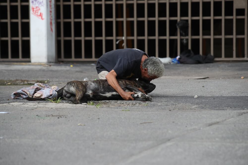 En la imagen, el dueño de Zeus llora por el perro luego de que recibiera tres balazos por defenderlo de un robo Foto: Francisco Rodríguez/El Universal