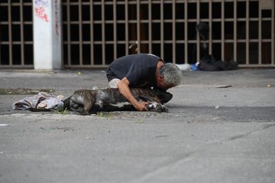 Justicia para Zeus: Vinculan a proceso a sujeto que asesinó de un disparo al perrito en la Cuauhtémoc