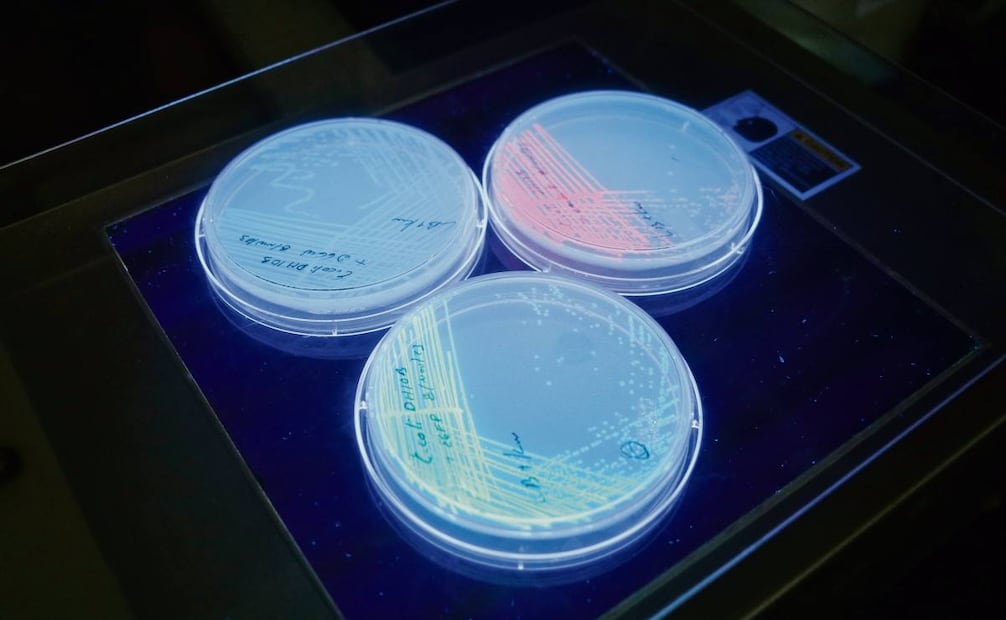 Biobanco. La institución desarrolla el Mapa genético de los mexicanos que ayudará a diseñar tratamientos. Foto: Efrén Díaz / Cinvestav