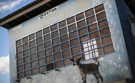 Director de Oxfam Haití admite contratación de prostitutas en 2011