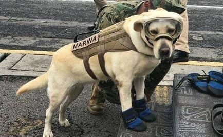 Frida cautiva a los japoneses; la llaman Marina-Chan por su chaleco