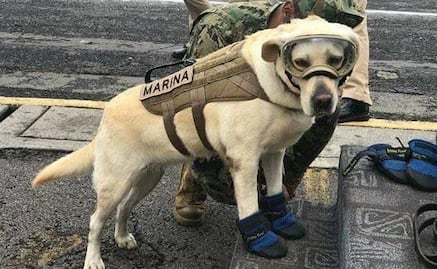 Frida cautiva a los japoneses; la llaman Marina-Chan por su chaleco