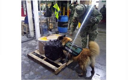 Marina asegura 113.5 kilos de clorhidrato de fentanilo en el AICM