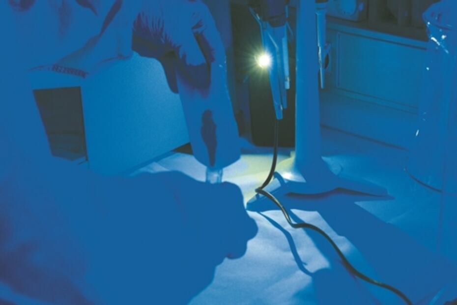 Con la genética buscan las raíces de Cristóbal Colón