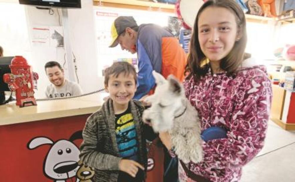 Aquí tu perro no te extrañará en vacaciones