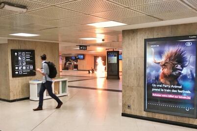 Frustran en Bruselas atentado terrorista 
