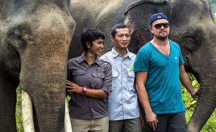 DiCaprio visita el ecosistema de Leuser en Indonesia
