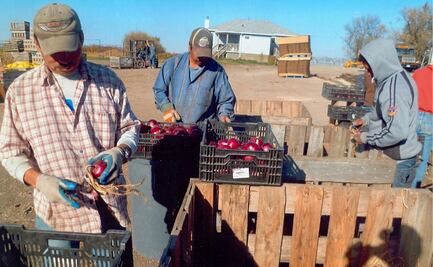 México podría beneficiarse con 260 mil visas de trabajo temporal en EU: Esteban Moctezuma 