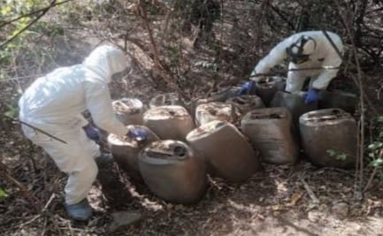 Localizan otros 12 narcolaboratorios en Sinaloa; suman 182 asentamientos ilegales asegurados