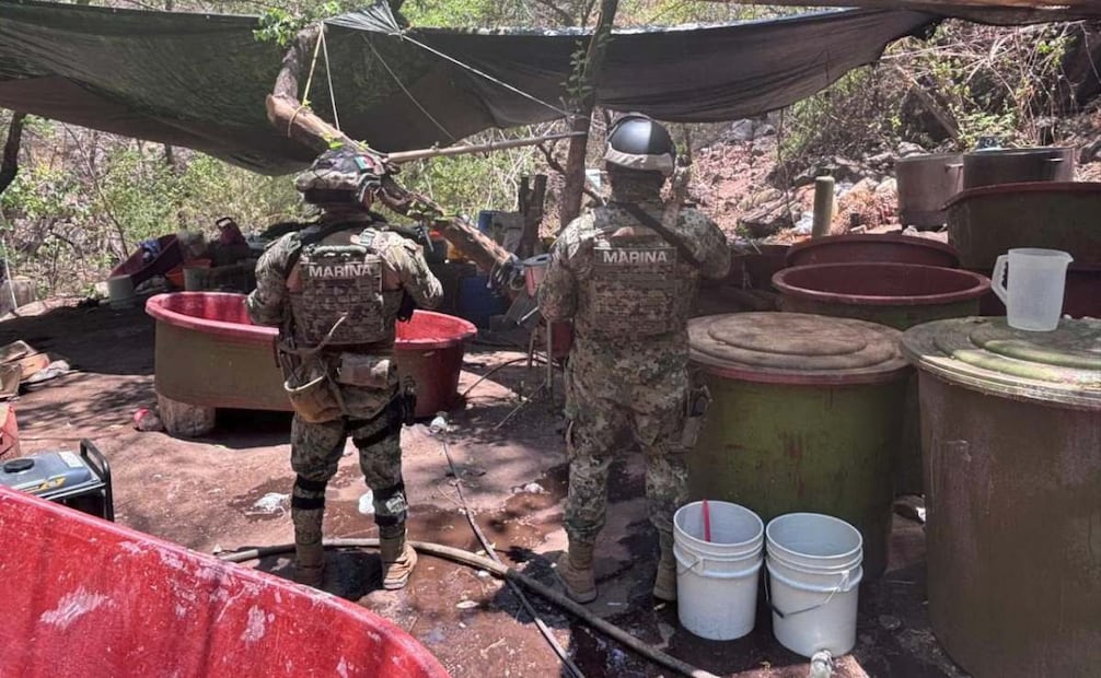 Fuerzas federales desmantelan cinco laboratorios clandestinos en Jalisco, Nayarit y Sinaloa (17/05/2026). Foto: Especial