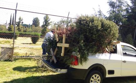 Llaman a reciclar árboles de Navidad en Coacalco