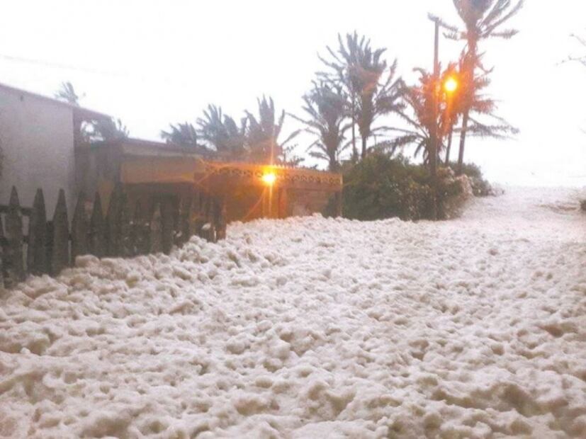 Un día en la vida del hermano Evo en el exilio dorado