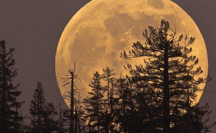 Superluna de Cosecha: ¿cuántos días faltan para ver el fenómeno astronómico en México?