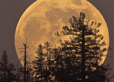 Superluna de Cosecha: ¿cuántos días faltan para ver el fenómeno astronómico en México?