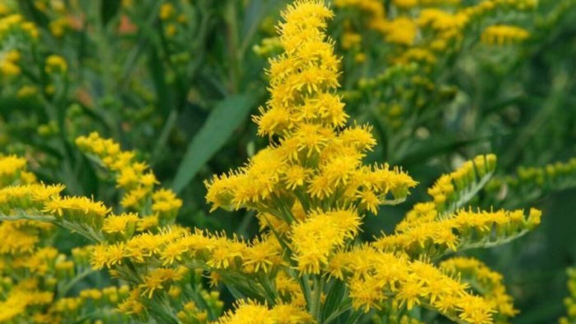 Fuente: X @HogarEcoTecno