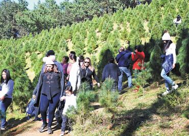 Las Vigas, capital de la Navidad veracruzana