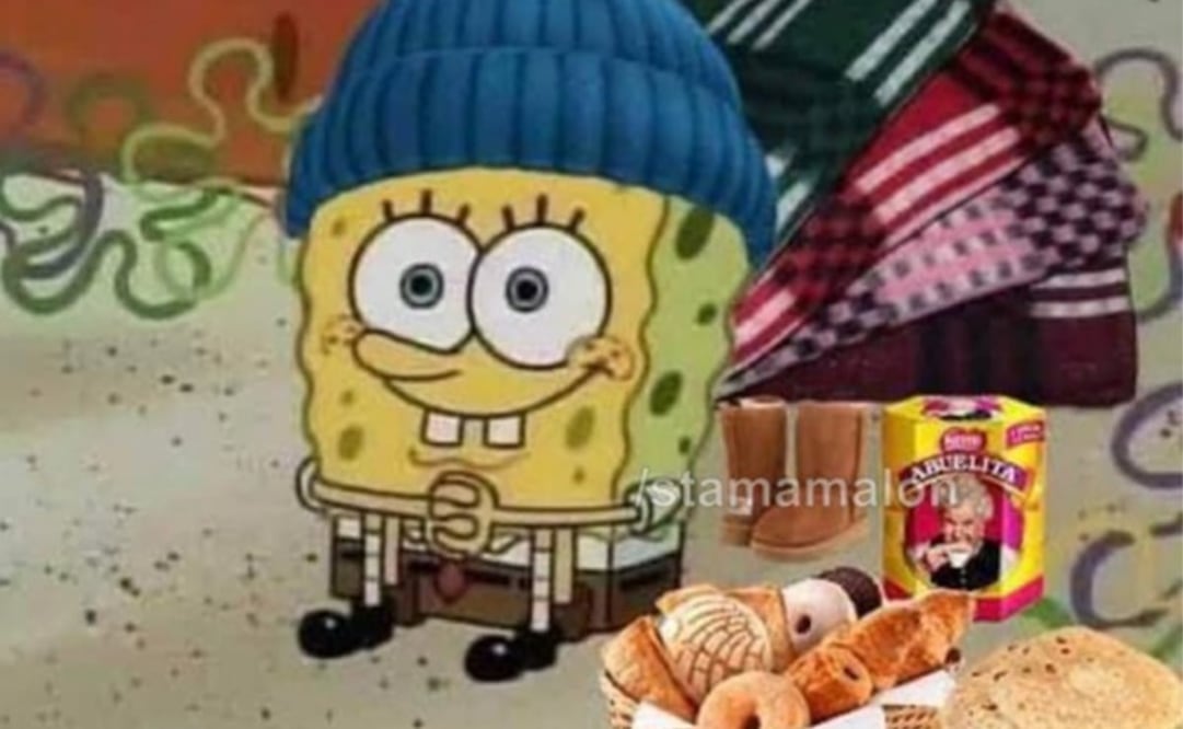 Algunos usuarios compartieron su kit para soportar las bajas temperaturas. Foto: X