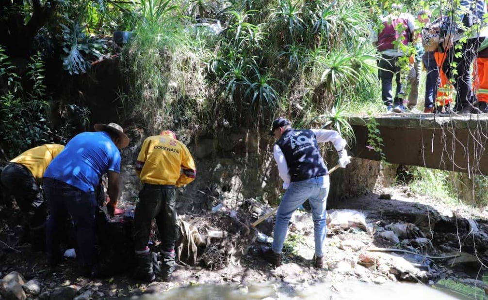 Javier López Casarín es designado integrante del Comité Ejecutivo Regional y Global; reconocen su compromiso con la agenda ambiental.
Foto: Especial.