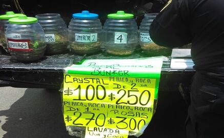 Desmantelan "narcotiendita" ambulante en Tepito