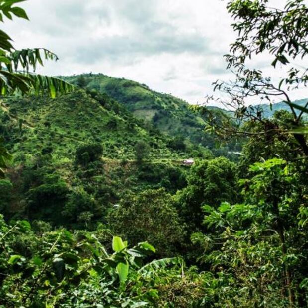 La ruta del reggae, el nuevo Patrimonio Mundial