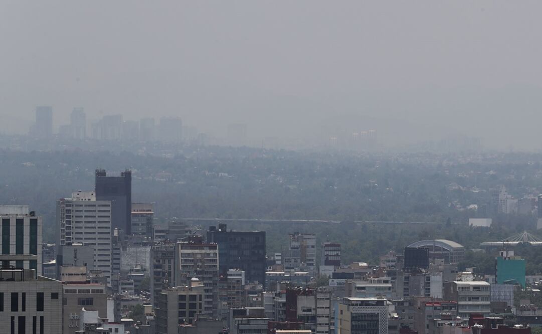 (Foto: Juan Carlos Reyes/El Universal)