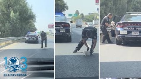 Policía rescata cachorro en carretera de Guanajuato y enternece las redes
