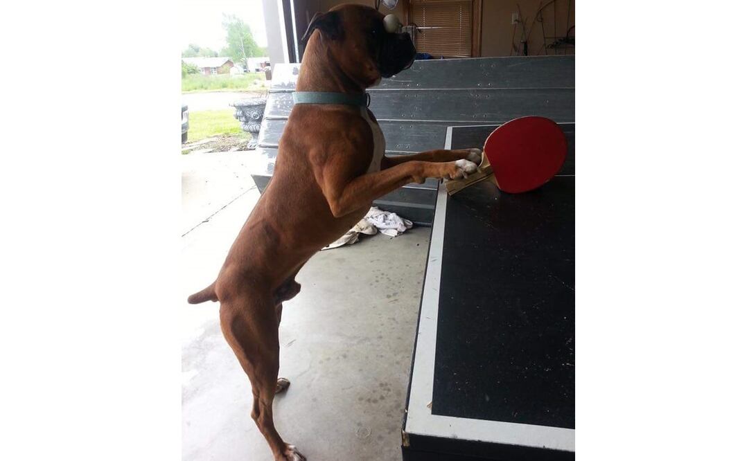 FOTO: Archivo. EL UNIVERSAL