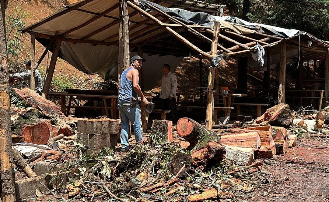 Fuertes lluvias destruyen puestos carreteros. Foto: Claudia González  / EL UNIVERSAL