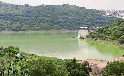 Presa Madín tendrá humedales en los accesos