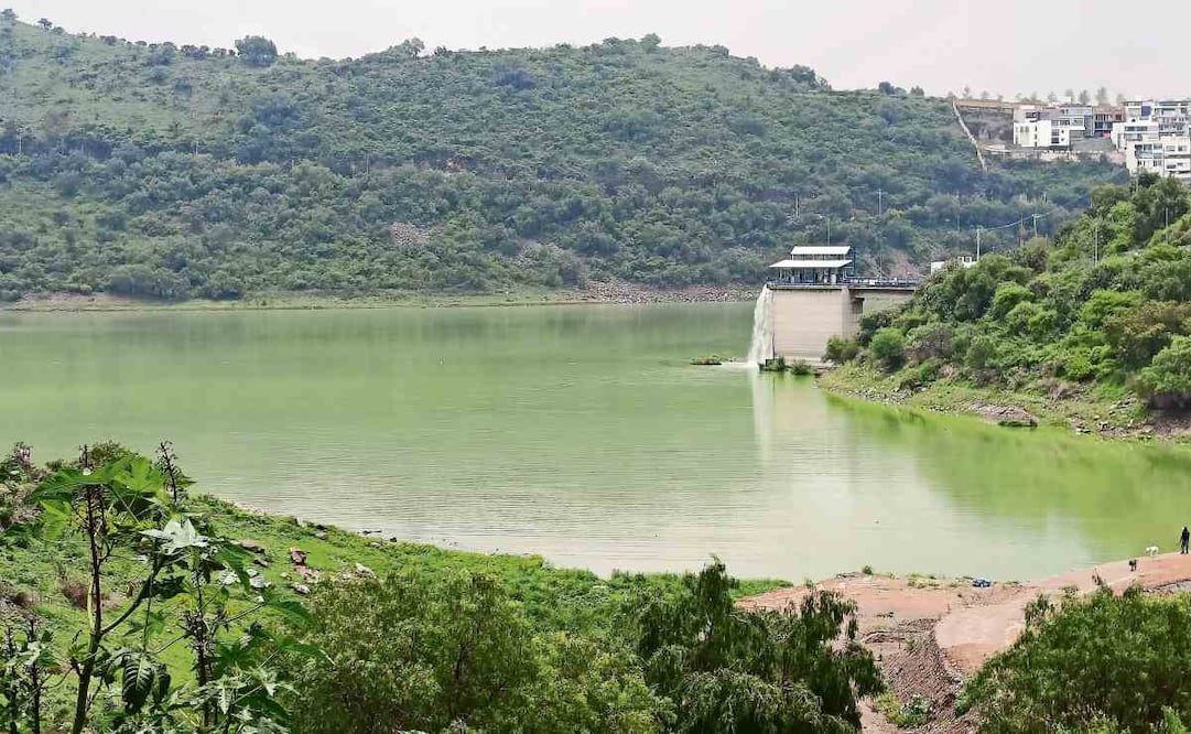 En la presa Madín se ha tratado de mantener el control del lirio acuático, dijo el presidente municipal. Foto: Gisela González Granados / EL UNIVERSAL